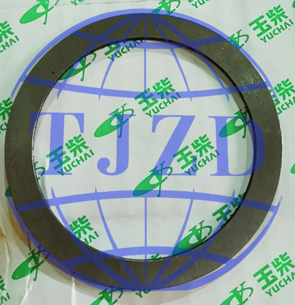 231-1002087 Idler gear wear plate