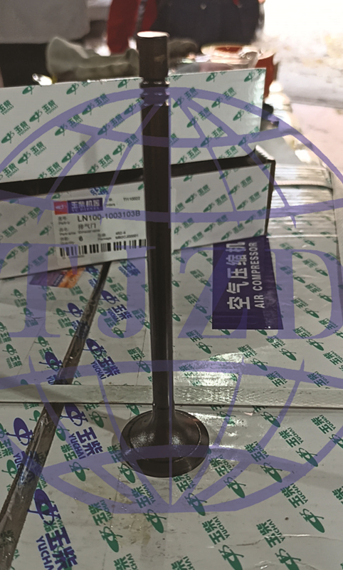 LN100-1003103B EXHAUST VALVE
