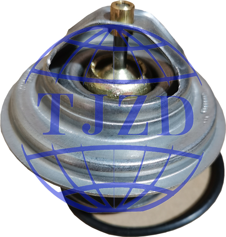 61800061040 THERMOSTAT