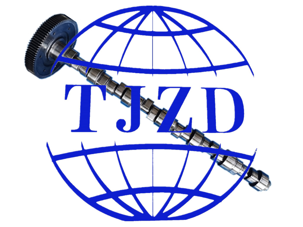 20500046 CAMSHAFT