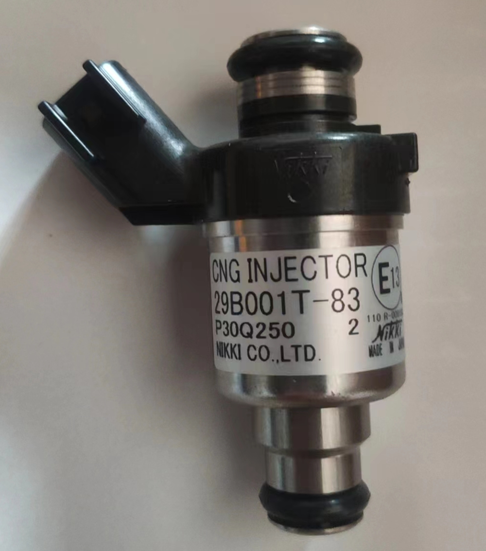 KIA00-1113940 CNG INJECTOR