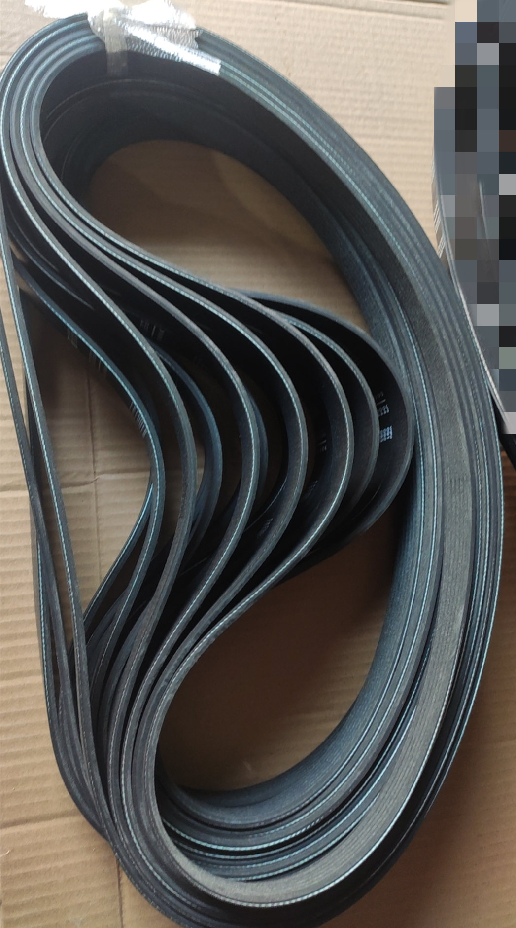 3100141 V RIBBED BELT